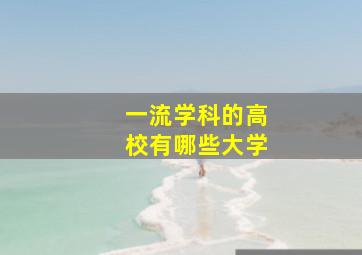 一流学科的高校有哪些大学