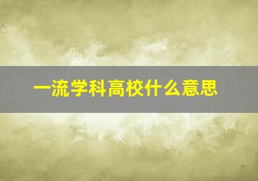 一流学科高校什么意思