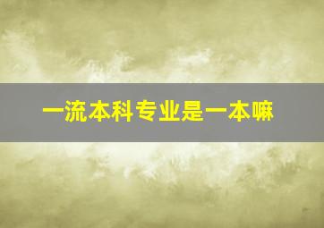 一流本科专业是一本嘛