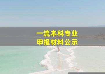 一流本科专业申报材料公示