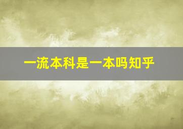 一流本科是一本吗知乎