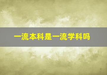 一流本科是一流学科吗