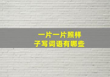 一片一片照样子写词语有哪些