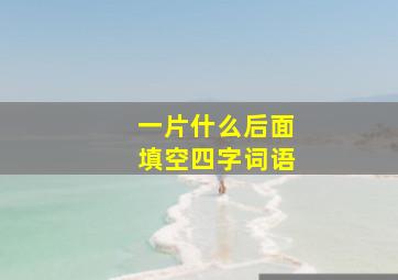 一片什么后面填空四字词语