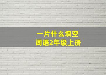 一片什么填空词语2年级上册