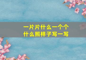 一片片什么一个个什么照样子写一写