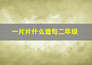 一片片什么造句二年级