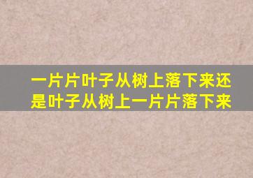 一片片叶子从树上落下来还是叶子从树上一片片落下来