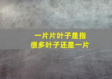 一片片叶子是指很多叶子还是一片