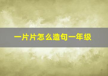 一片片怎么造句一年级