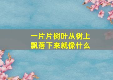 一片片树叶从树上飘落下来就像什么