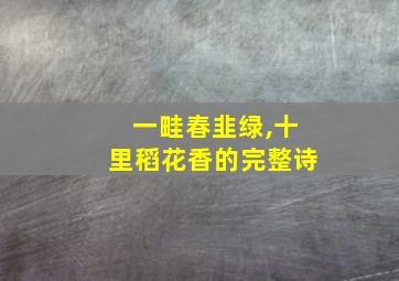 一畦春韭绿,十里稻花香的完整诗