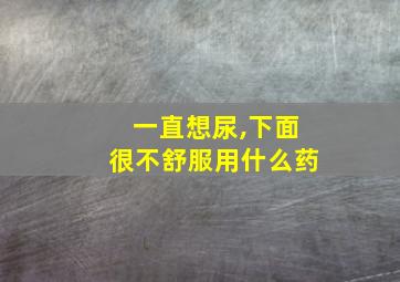 一直想尿,下面很不舒服用什么药