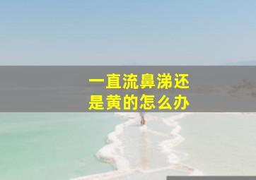 一直流鼻涕还是黄的怎么办