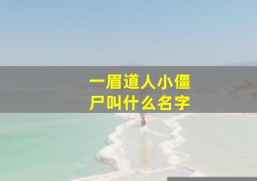 一眉道人小僵尸叫什么名字