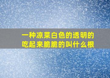 一种凉菜白色的透明的吃起来脆脆的叫什么根