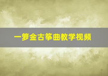 一箩金古筝曲教学视频