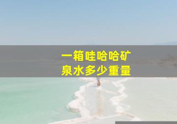 一箱哇哈哈矿泉水多少重量