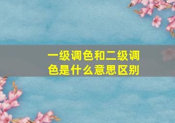 一级调色和二级调色是什么意思区别