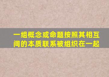 一组概念或命题按照其相互间的本质联系被组织在一起