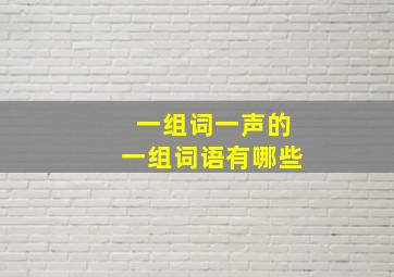 一组词一声的一组词语有哪些