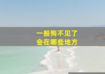 一般狗不见了会在哪些地方