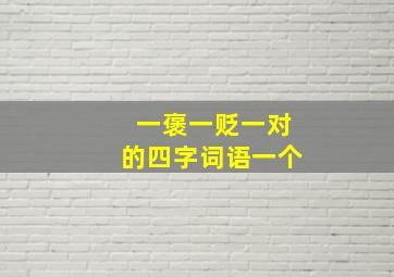 一褒一贬一对的四字词语一个