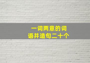 一词两意的词语并造句二十个