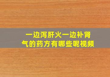 一边泻肝火一边补肾气的药方有哪些呢视频