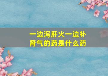 一边泻肝火一边补肾气的药是什么药