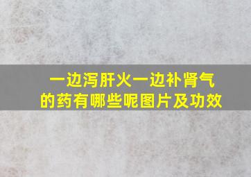 一边泻肝火一边补肾气的药有哪些呢图片及功效