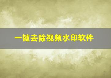 一键去除视频水印软件