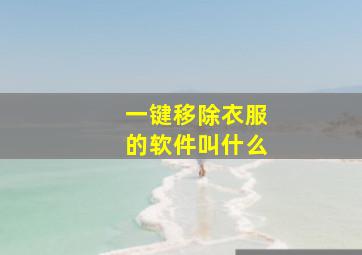 一键移除衣服的软件叫什么