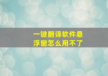 一键翻译软件悬浮窗怎么用不了