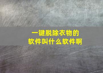 一键脱除衣物的软件叫什么软件啊