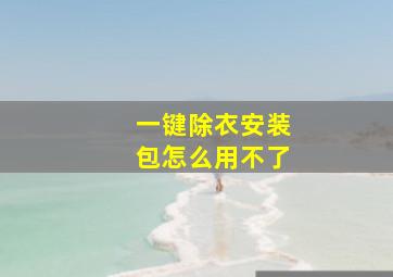 一键除衣安装包怎么用不了