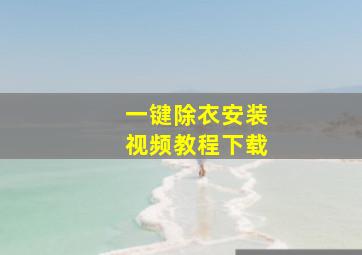 一键除衣安装视频教程下载