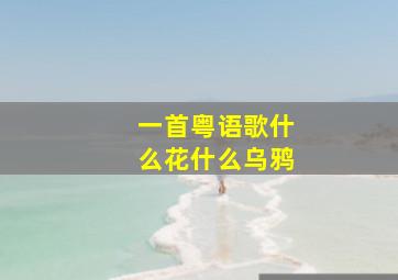 一首粤语歌什么花什么乌鸦