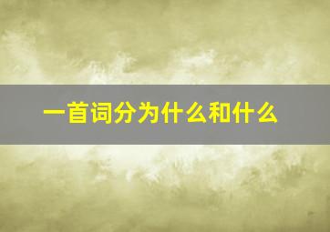 一首词分为什么和什么