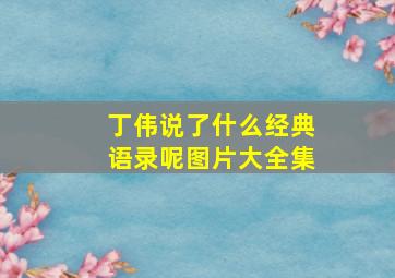 丁伟说了什么经典语录呢图片大全集