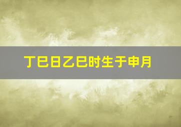 丁巳日乙巳时生于申月