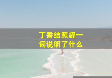 丁香结照耀一词说明了什么