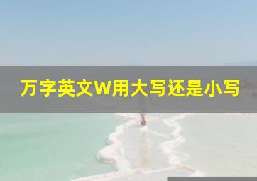 万字英文W用大写还是小写