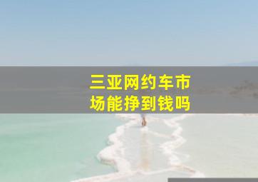 三亚网约车市场能挣到钱吗