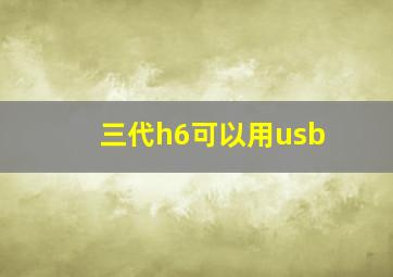 三代h6可以用usb