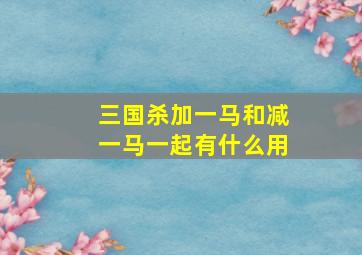 三国杀加一马和减一马一起有什么用