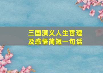 三国演义人生哲理及感悟简短一句话