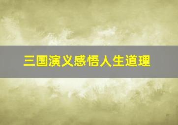 三国演义感悟人生道理