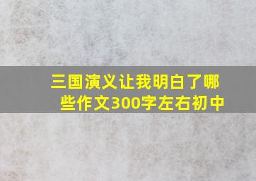 三国演义让我明白了哪些作文300字左右初中