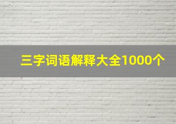 三字词语解释大全1000个